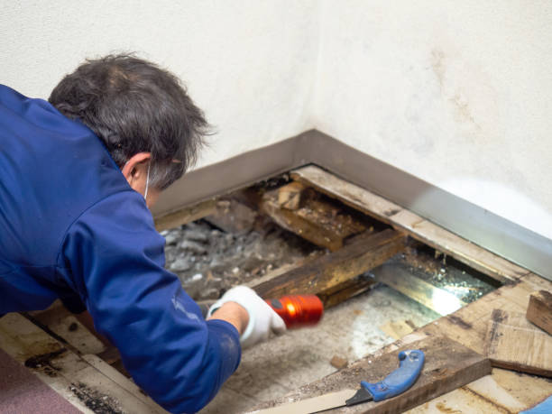Riverdale, CA Mold Remediation Company