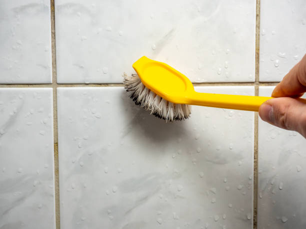 Best Industrial Mold Remediation in Riverdale, CA
