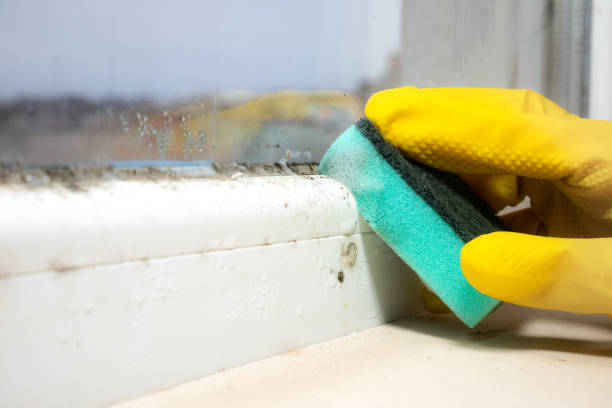 Best Mold Testing and Inspection Services in Riverdale, CA