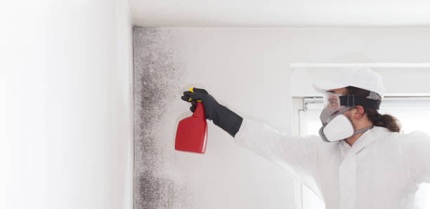 Best Emergency Mold Remediation in Riverdale, CA